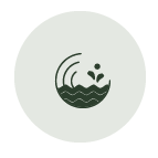 FengFeng without line